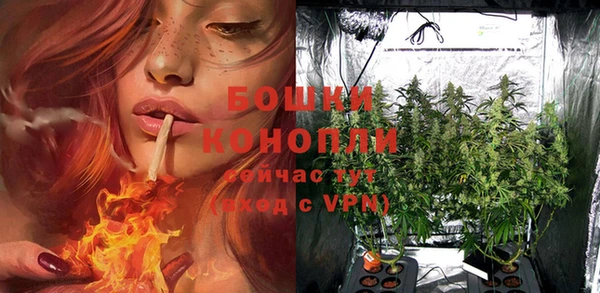 дурь Бронницы