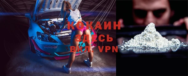 дурь Бронницы
