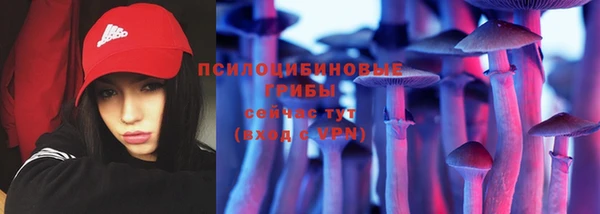 PSILOCYBIN Бугульма