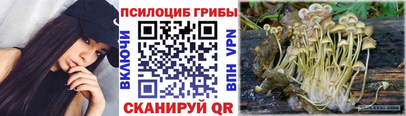 гидра как зайти  закладки  Инза  Псилоцибиновые грибы Psilocybine cubensis 